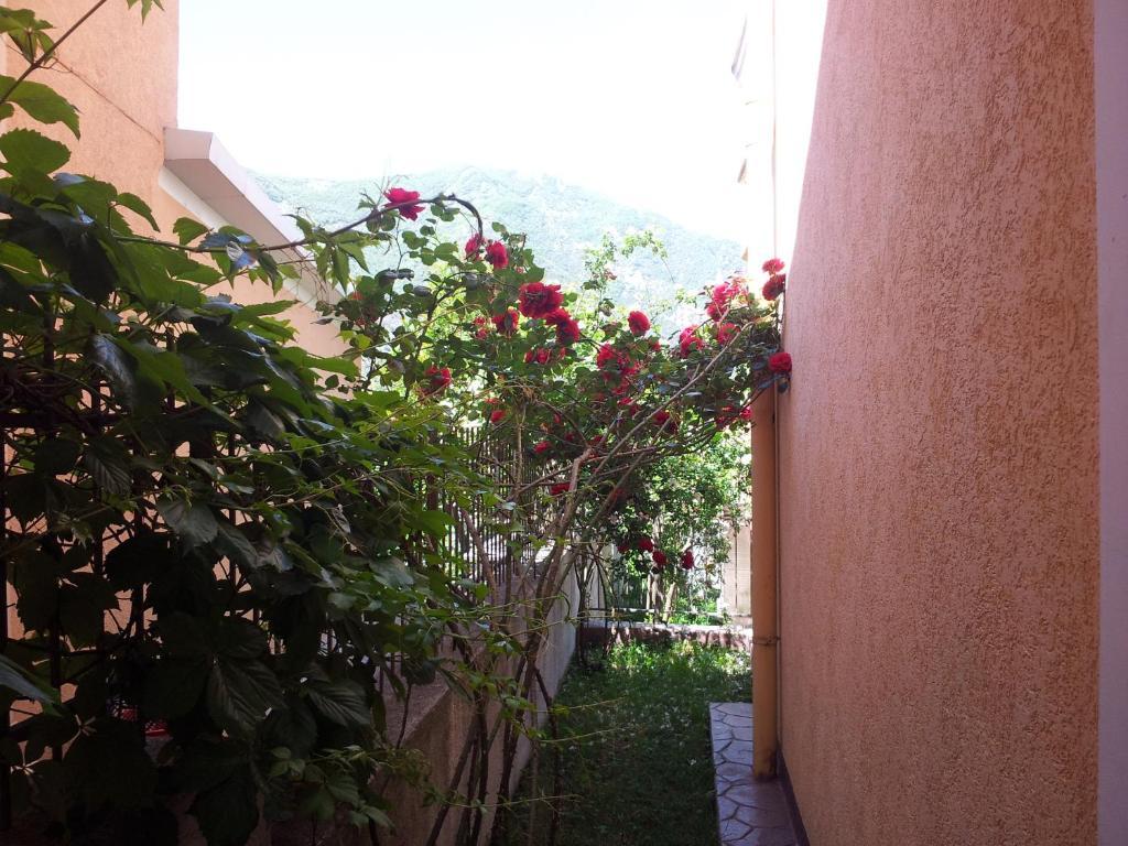 Apartments Popovic 2 Kotor Zewnętrze zdjęcie